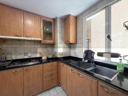 Seletar Springs Condominium (D28), Condominium #502510251